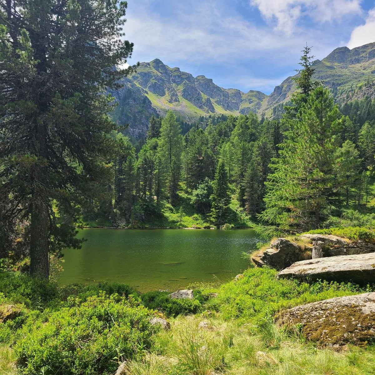 Bergsee in den Gurktaler Alpen | Naturstoff