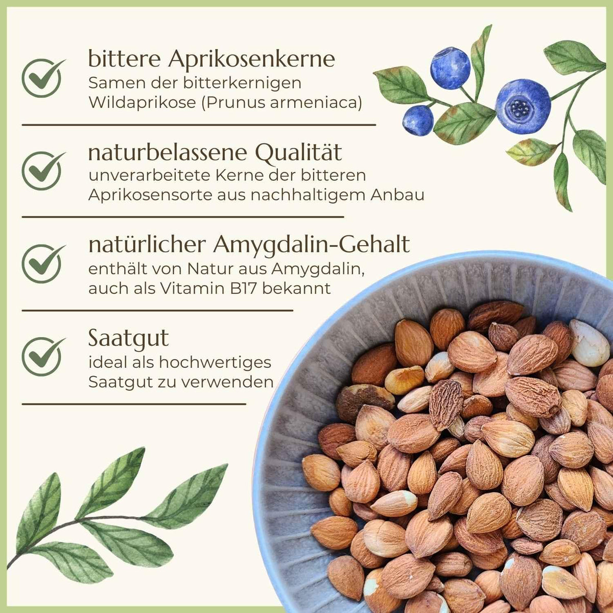Bittere Aprikosenkerne Eigenschaften Naturstoff