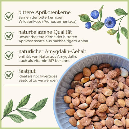 Bittere Aprikosenkerne Eigenschaften Naturstoff