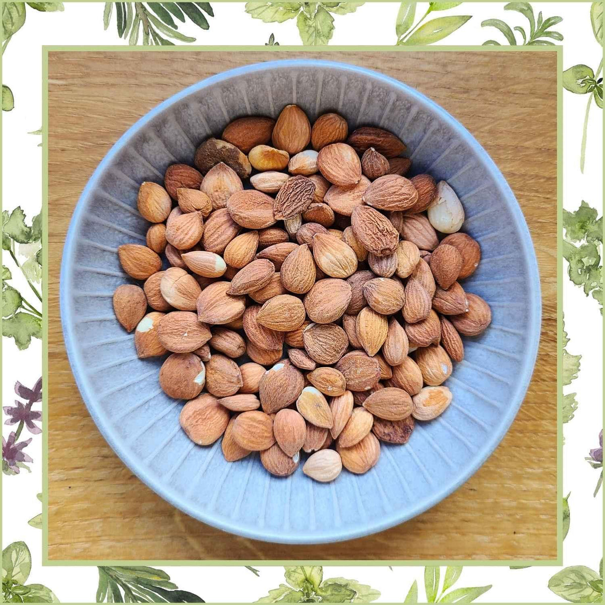 Bittere_Aprikosenkerne_Naturstoff