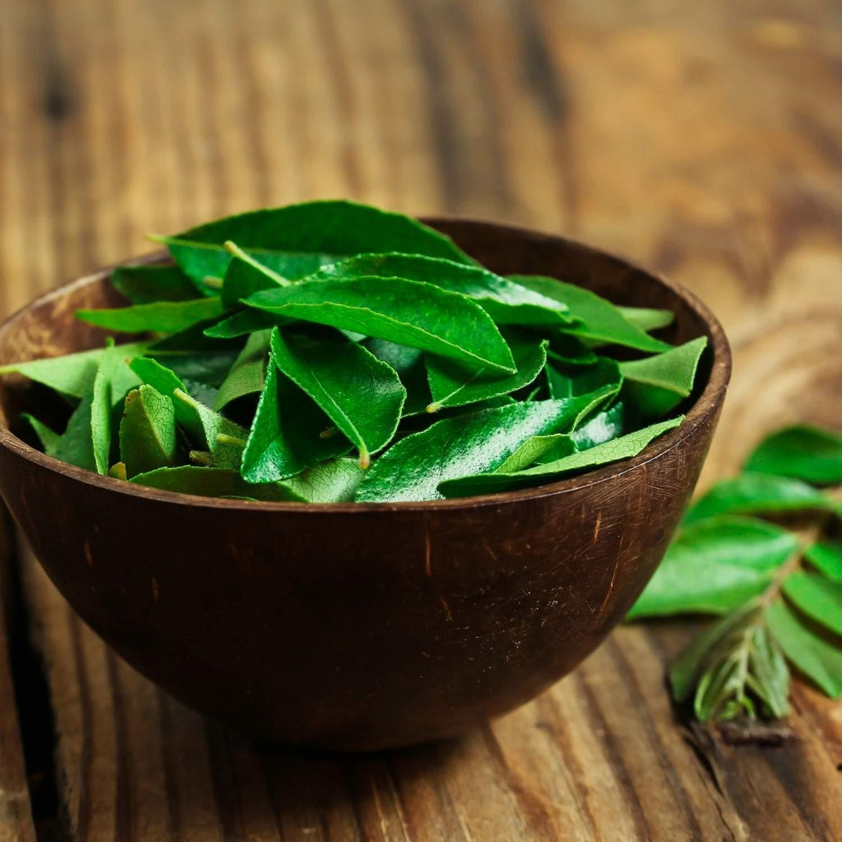 Curryblätter für natürliches Eisen | Naturstoff