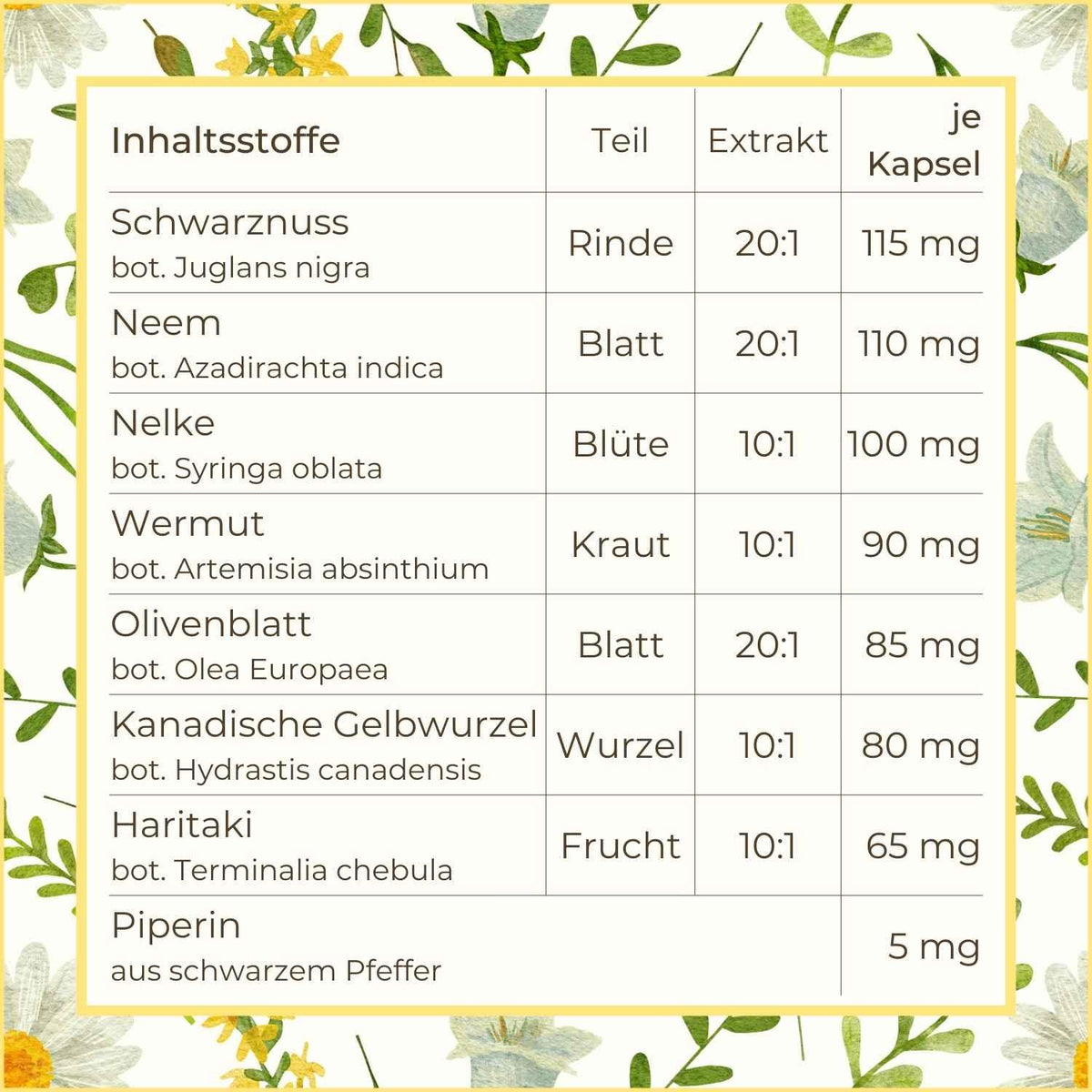 Darmrein Darmgesundheit Kapseln Inhaltsstoffe | Naturstoff
