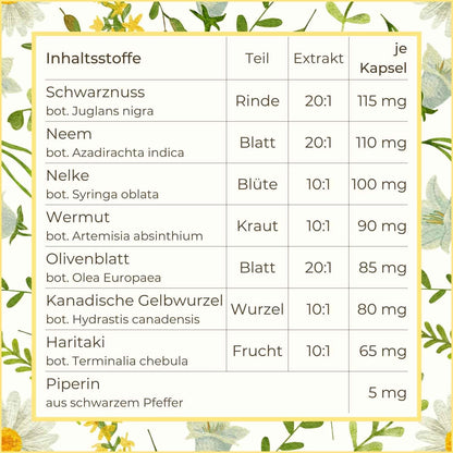Darmrein Darmgesundheit Kapseln Inhaltsstoffe | Naturstoff
