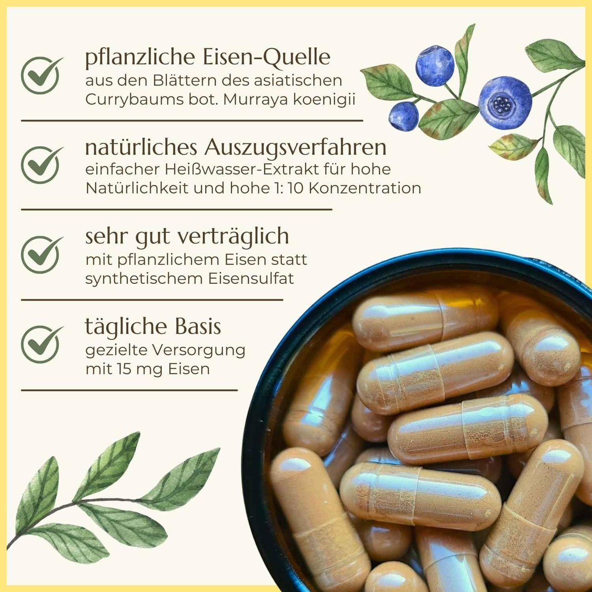 Eigenschaften der Curryblatt Kapseln in Tabelle von Naturstoff
