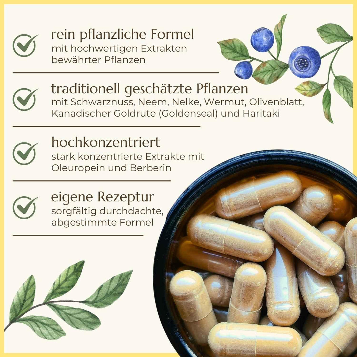 Eigenschaften der Darmrein Kapseln aufgelistet | Naturstoff