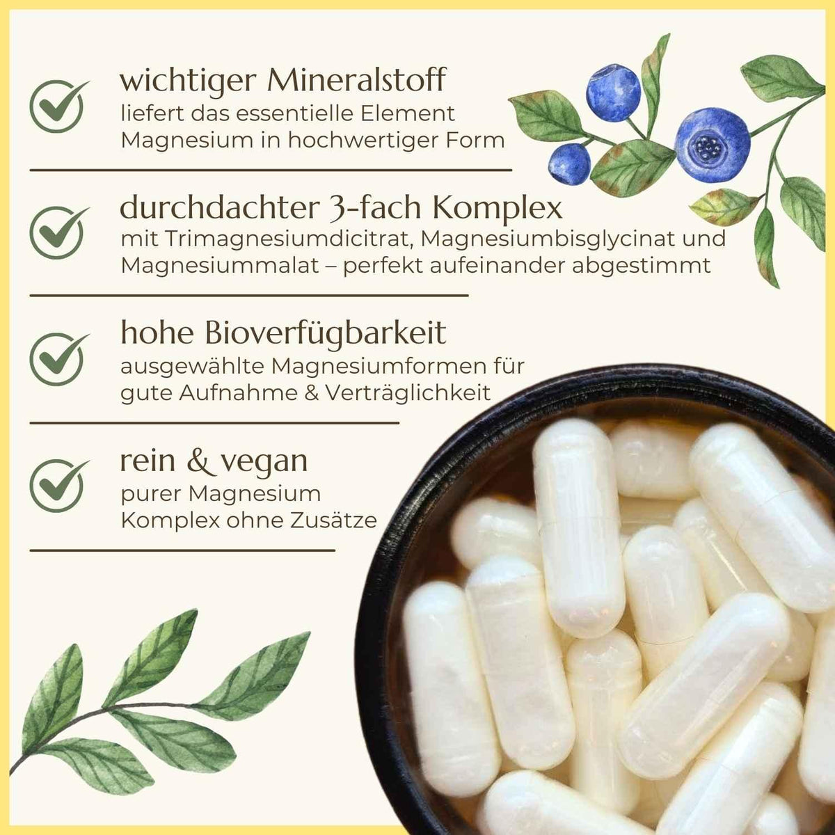 Überblick über Eigenschaften der Kalium Kapseln von Naturstoff