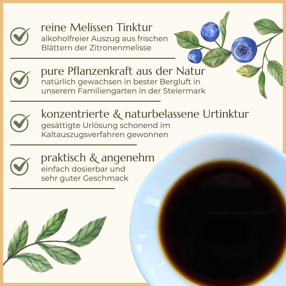 Eigenschaften der Zitronenmelisse Lemon Balm | Naturstoff