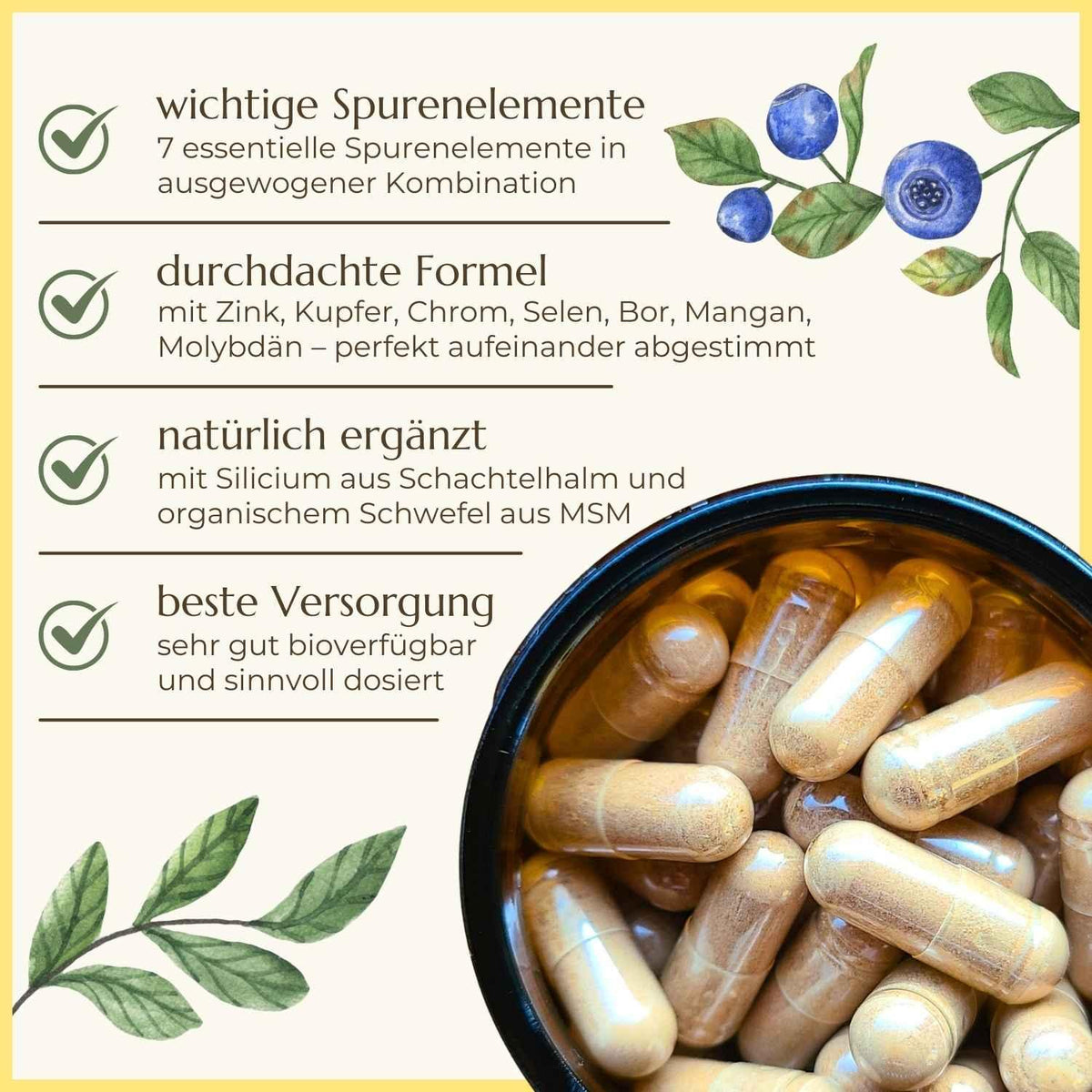 Eigenschaften der Spurenelemente Kapseln aufgelistet | Naturstoff