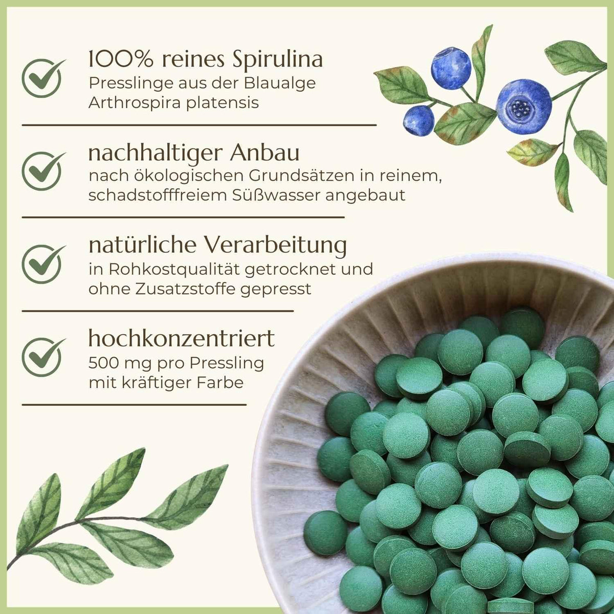 Eigenschaften von Spirulina Presslinge Naturstoff