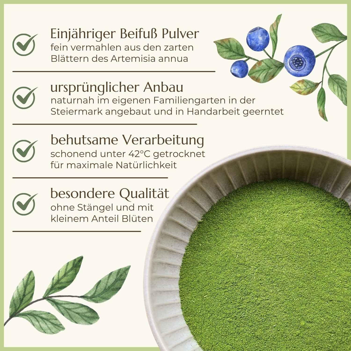 Einjähriger Beifuß Eigenschaften Naturstoff