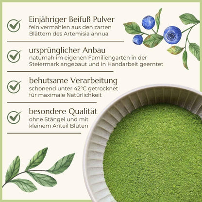 Einjähriger Beifuß Eigenschaften Naturstoff