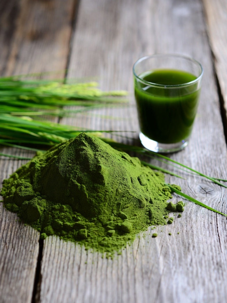 Gerstengrassaft_Pulver_Rohkost_Naturstoff