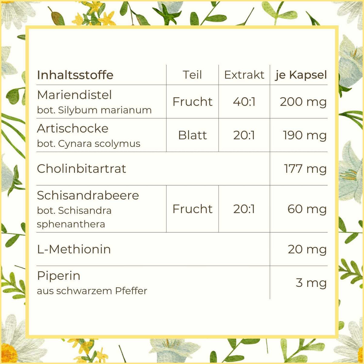 Inhaltsstoffe Heilpflanzen Leberwohl | Naturstoff
