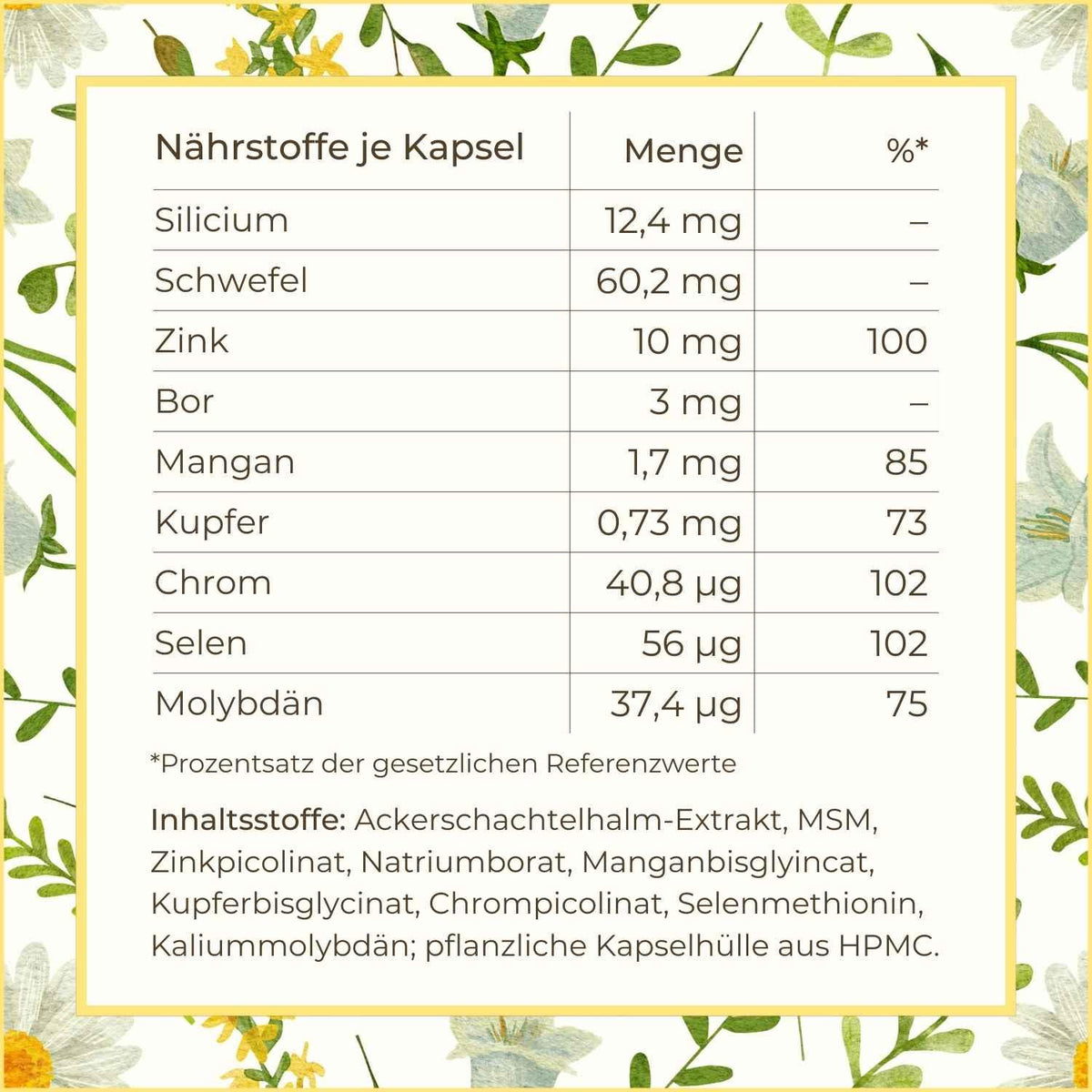 Inhaltsstoffe der Spurenelemente Kapseln aufgelistet | Naturstoff