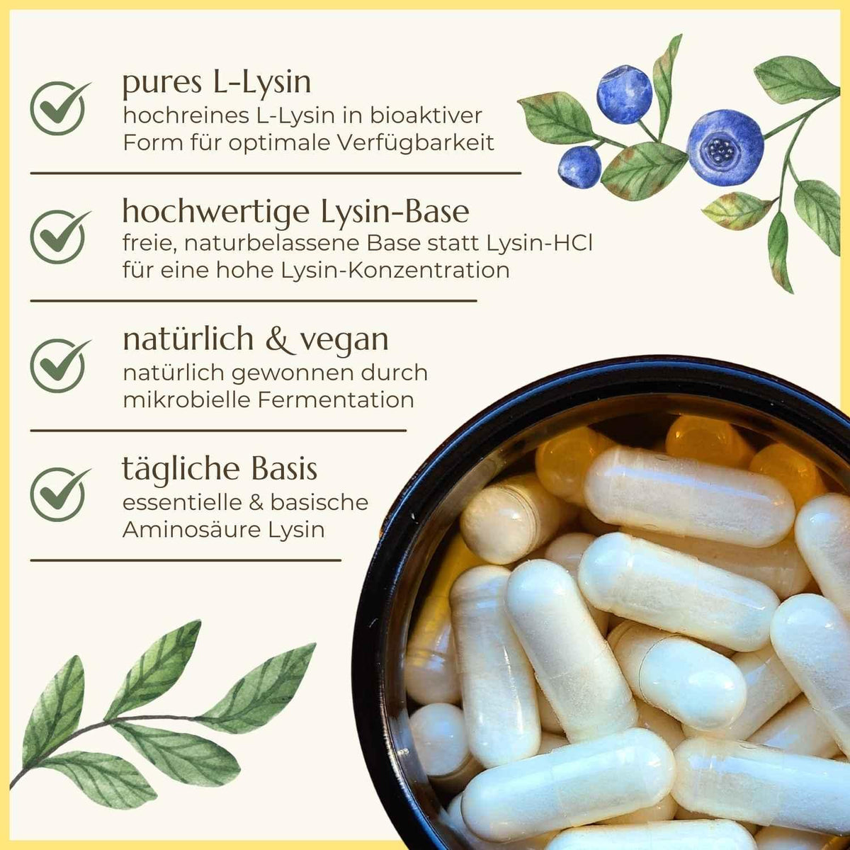 Eigenschaften von L-Lysin aufgelistet Naturstoff
