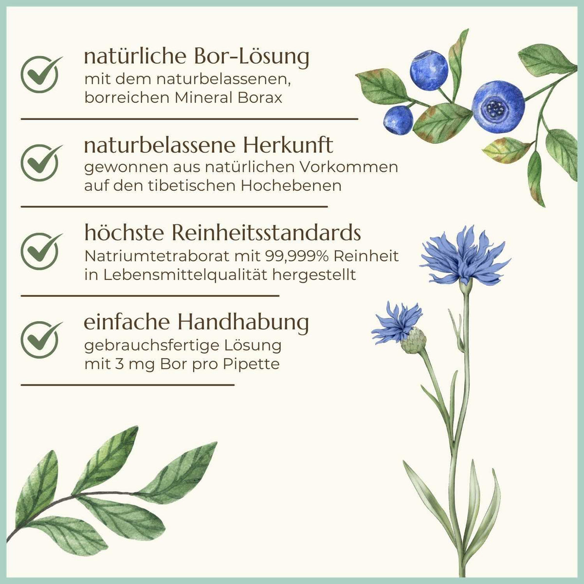 Premiumqualität & Eigenschaften der Borax Lösung | Naturstoff