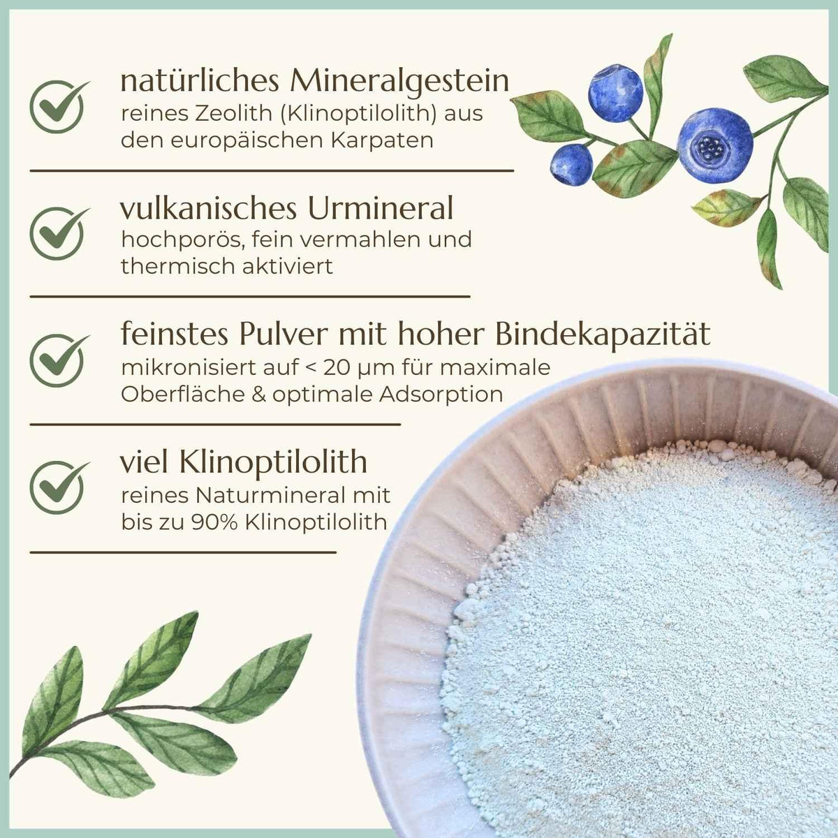 Premiumqualität & Eigenschaften von mikronisierten & aktivierten Zeolith | Naturstoff