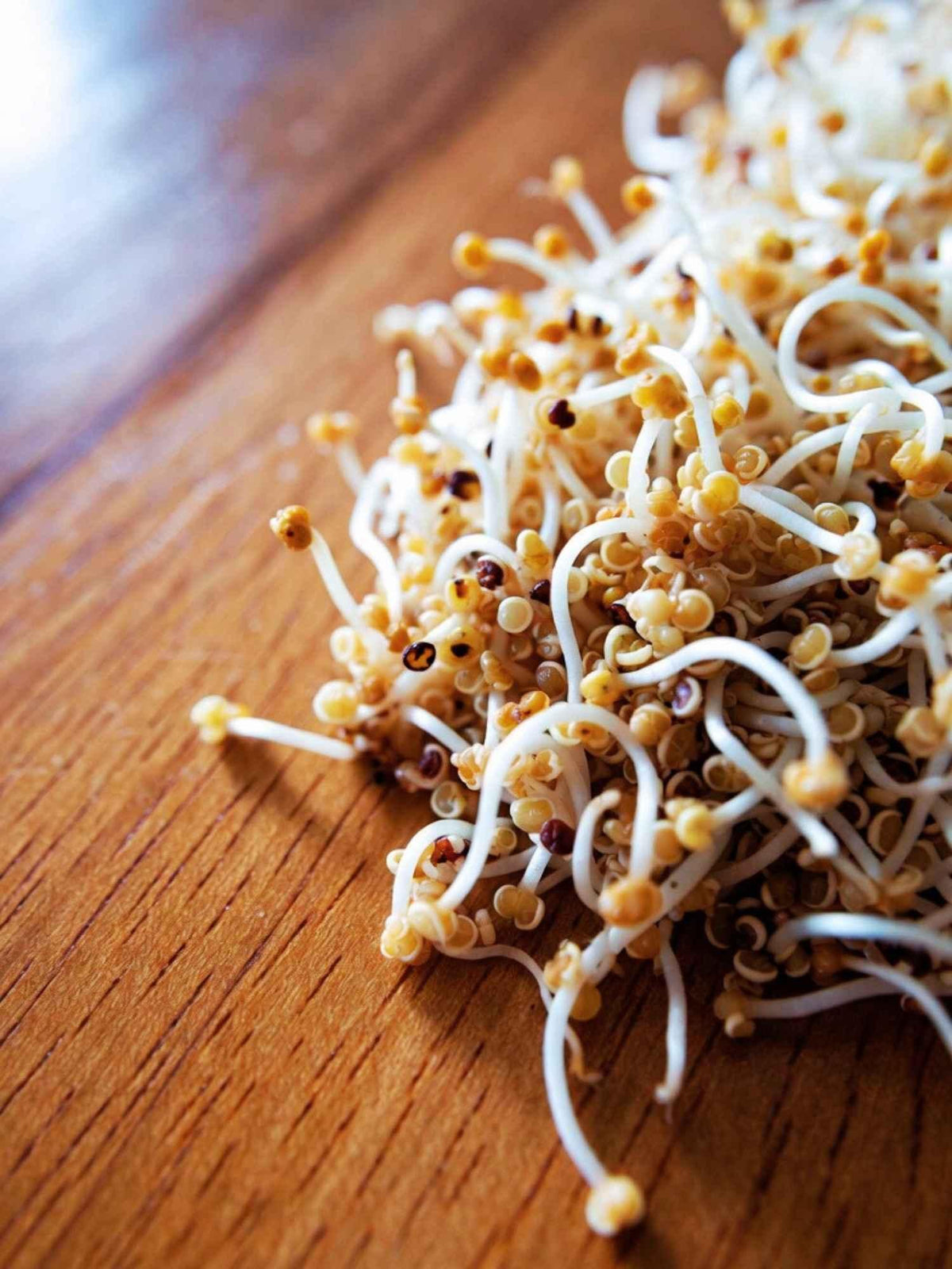 Quinoasprossen auf einem Holztisch Naturstoff