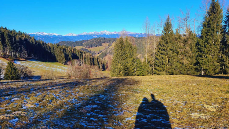 Steirische Berglandschaft FAQ | Naturstoff
