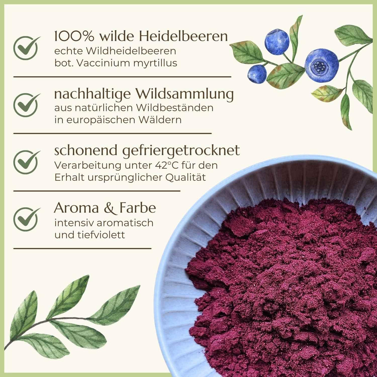 Wilde_Heidelbeeren_Naturstoff
